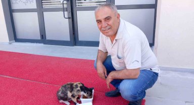 Sevimli kedi, Emirdağ Mithatpaşa Ortaokulu'nun bekçiliğini yapıyor
