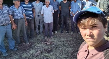 Seyitgazi'de çıkan orman yangını kısa sürede söndürüldü