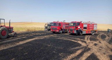 Sorgun'da 200 dekar ekili tarım arazisi küle döndü