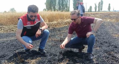 Tepebaşı İlçe Tarım Müdürlüğü yangın çıkan tarlalarda inceleme yaptı