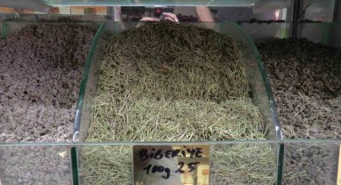 Terlemeye karşı bitkisel çözüm: Şeb taşı