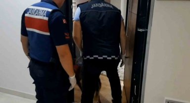 Uyuşturucu tacirine jandarma darbesi