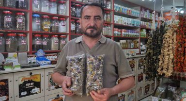 Yaz mevsiminin gelmesiyle zayıflama çaylarına talepler yoğunlaştı