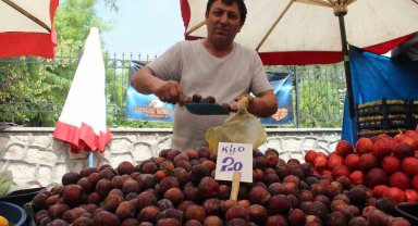Yaz meyvesi eriğe pazarda rağbet yok