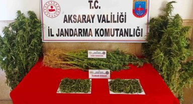 Aksaray jandarmadan uyuşturucu operasyonu: 2 gözaltı
