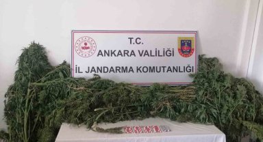 Ankara'da iki ayrı hobi bahçesinde uyuşturucu operasyonu