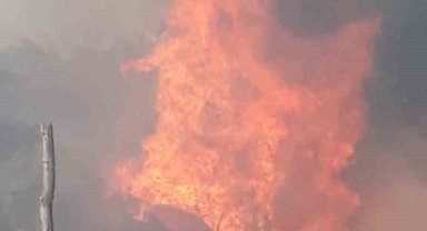 Ankara'da kırsal alanda korkutan yangın