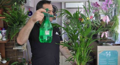 Artan sıcaklarda çiçek bakımına ekstra dikkat edilmeli