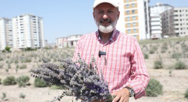 Başkan Çolakbayrakdar: "Şehri renklendiren lavanta bahçesinin sayısını artıracağız"