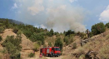 Çankırı'daki orman yangını kontrol altına alındı