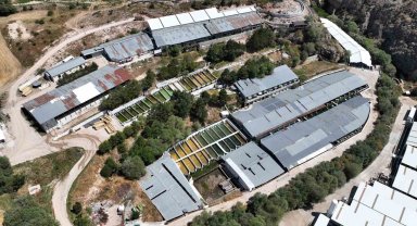 Denizi olmayan Kayseri'de 250 milyon alabalık yavrusu üretiliyor
