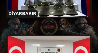 Diyarbakır'da 2 milyon 425 bin kök kenevir ve skunk bitkisi ele geçirildi