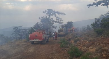 Eskişehir'de çıkan orman yangını kontrol altına alındı