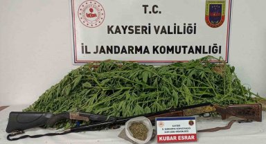 Evin bahçesinde kenevir bulunan şahıs yakalandı