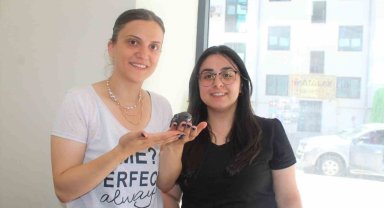 Gazetecilerden Ebabil kuşuna şefkat eli
