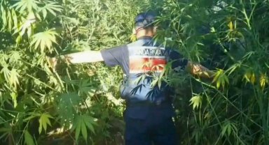 Jandarmadan uyuşturucu operasyonu: 1 tutuklama
