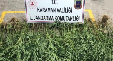 KARAMAN'DA UYUŞTURUCU VE KENEVİR OPERASYONU