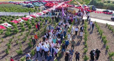Keçiören'de Lavanta ve Gül Bahçesi'nde hasat yapıldı
