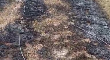 Konya'da kopan elektrik telleri tarlada yangın çıkardı