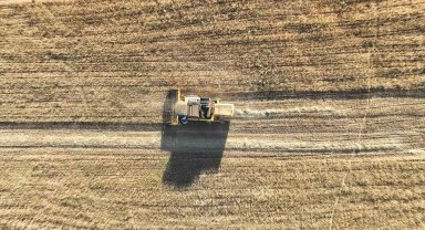 Metruk bir evde bulunmuştu, 150 ton rekolte bekleniyor