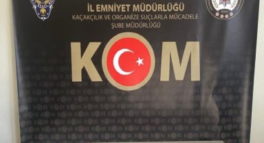Sivas'ta onlarca sikke ele geçirildi