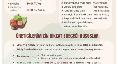 Toprak Mahsulleri Ofisi 2023 yılı kabuklu fındık alımları başladı