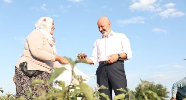 Yamula Patlıcanı Etkinliği'ne Davet