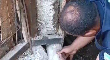 Yaramaz koyunu itfaiye kurtardı