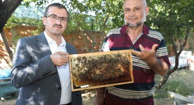 'Sokmayan arılar' Yozgat'ta lavanta balı üretimine başladı