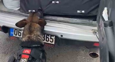 43 ilin geçiş güzergahında uyuşturucuya geçit yok: 36 kilogram 'skunk' ele geçirildi