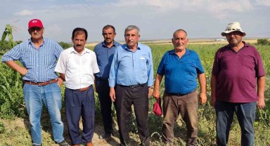 Arazi toplulaştırması çiftçileri mağdur etti