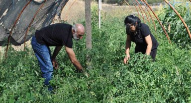 Bahçe içinde kurdukları konteynerde yaşayıp, ürettikleri meyve ve sebzeleri satmak yerine takas yapıyorlar