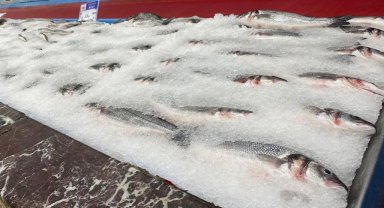 Balıkçılar yeni sezondan umutlu
