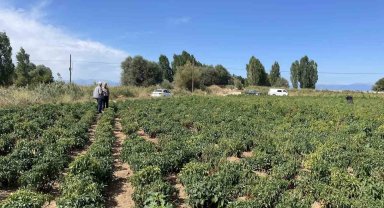 Beyşehir'de çiftçiler ürün zararlılarına karşı bilgilendiriliyor