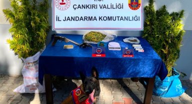 Çankırı'da uyuşturucu operasyonu: 2 gözaltı