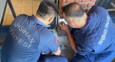 Dekoratif tuğla kolonun içinden yavru kedi çıktı