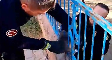 Demir korkuluğa sıkışan kedi kurtarıldı