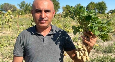 Depremde enkazdan kurtardığı çocuğun ailesinin hediye ettiği fıstıklarla Nevşehir'de yüksek rekolte elde etti