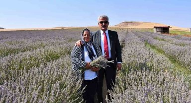 Ekonomisine can kattı: Kadın girişimci devletten aldığı destekle lavanta yetiştiriyor