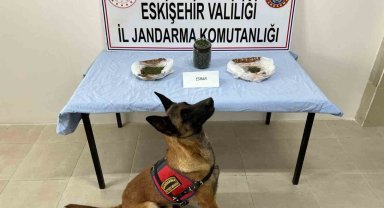 Ektiği keneviri esrar haline getirip satan şahıs yakalandı