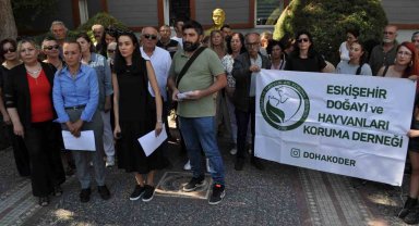 Hayvanseverler Büyükşehir'i suçladı