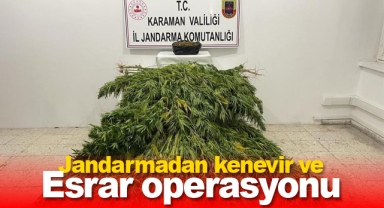 Jandarmadan kenevir ve esrar operasyonu