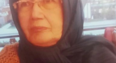 Kamyonetin çarptığı 73 yaşındaki kadın hayatını kaybetti
