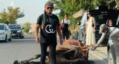 Kapadokya'da iş yüküne dayanamayan deve bayıldı