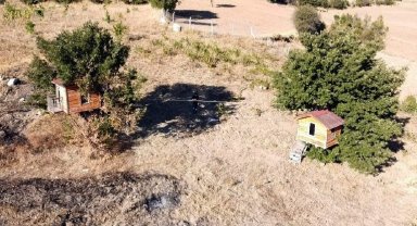 Karadeniz değil Yozgat: Meşe ağacının üzerine yaptığı evler dikkat çekiyor