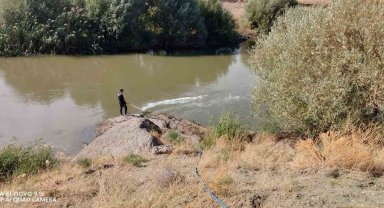 Kızılırmak'ta üvez sineği ile etkin mücadele devam ediyor