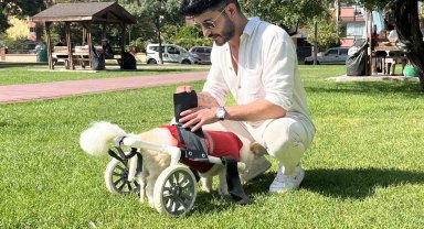 Köpeği felç kaldıktan sonra Müslüman oldu