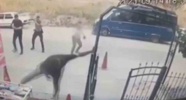 Polisi bıçakla yaralayan hırsız bacaklarından vurularak etkisiz hale getirildi
