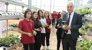 Sarıcakaya'da çilekler, topraksız tarım ve su kültürü tekniği ile yetişecek
