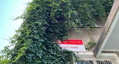 Sarmaşıla sarılı cami kuşlara yuva oluyor